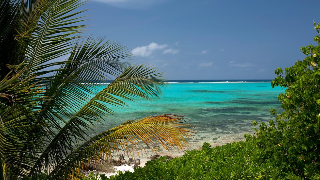 Cayman Island beach