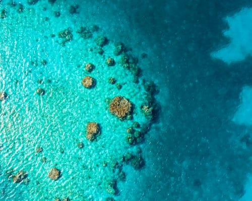 Regulatory Calendars