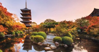 Japanese garden view