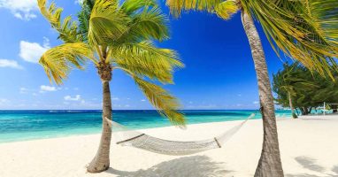 Cayman Islands beach view, palm trees and hammock